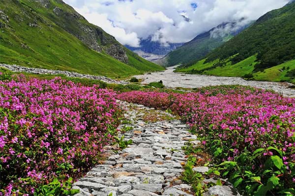 Uttarakhand Tourism : Valley of Flower Trek